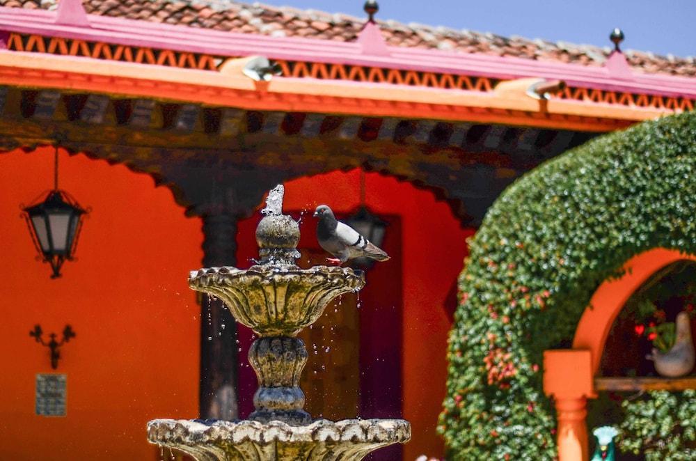 圣地亚哥德马萨莉格丝酒店 San Cristóbal de Las Casas 外观 照片